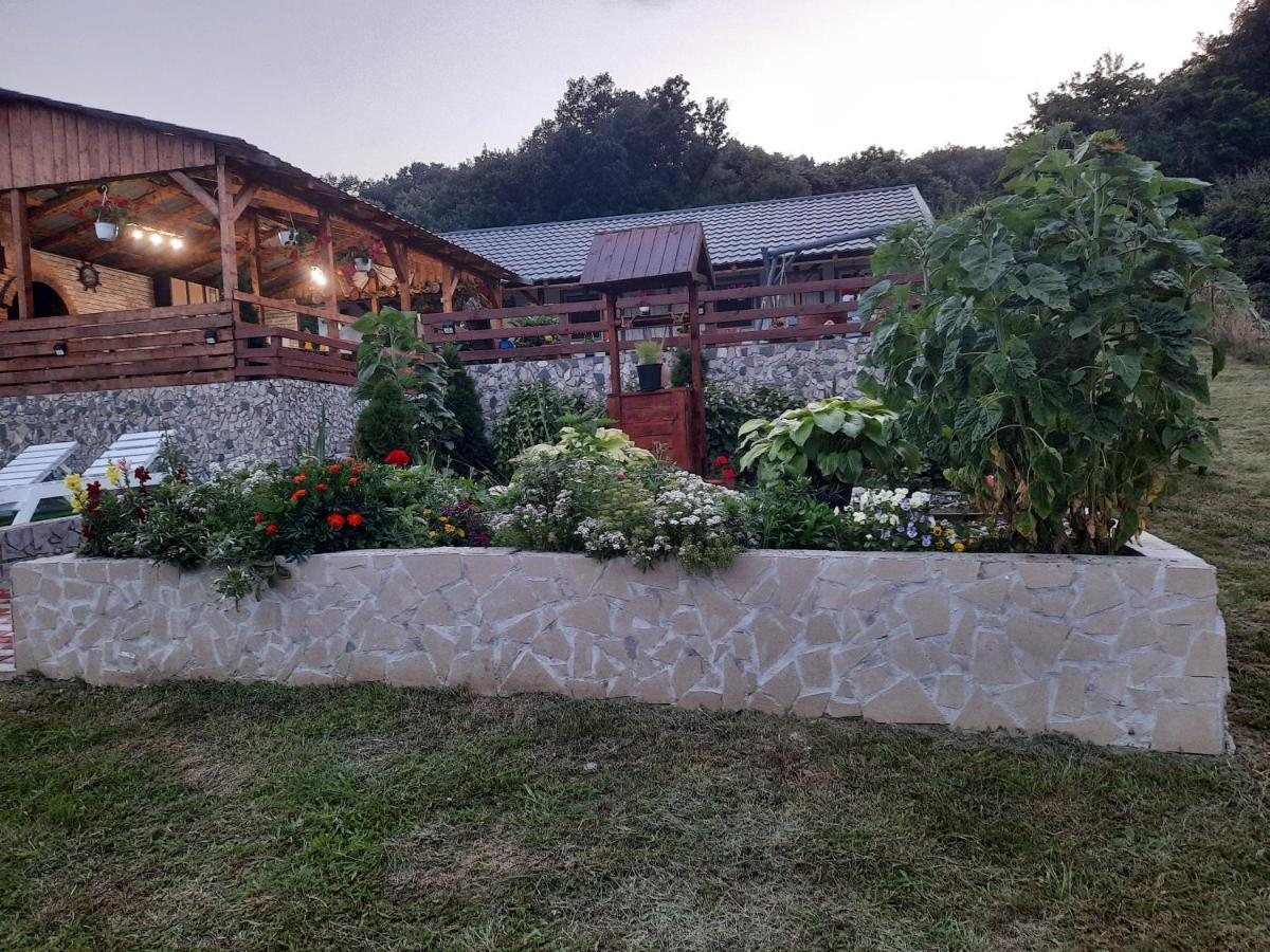 Casa Claudiu Villa Ieşelniţa Bagian luar foto